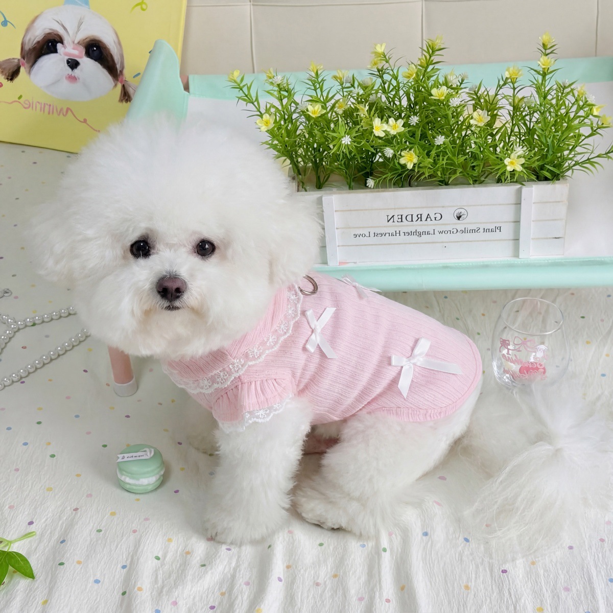 ペット用春のレースボウベスト、テディ・ヨークシャー・ペットT - Lace Teddy Lingerie のレビューと価格